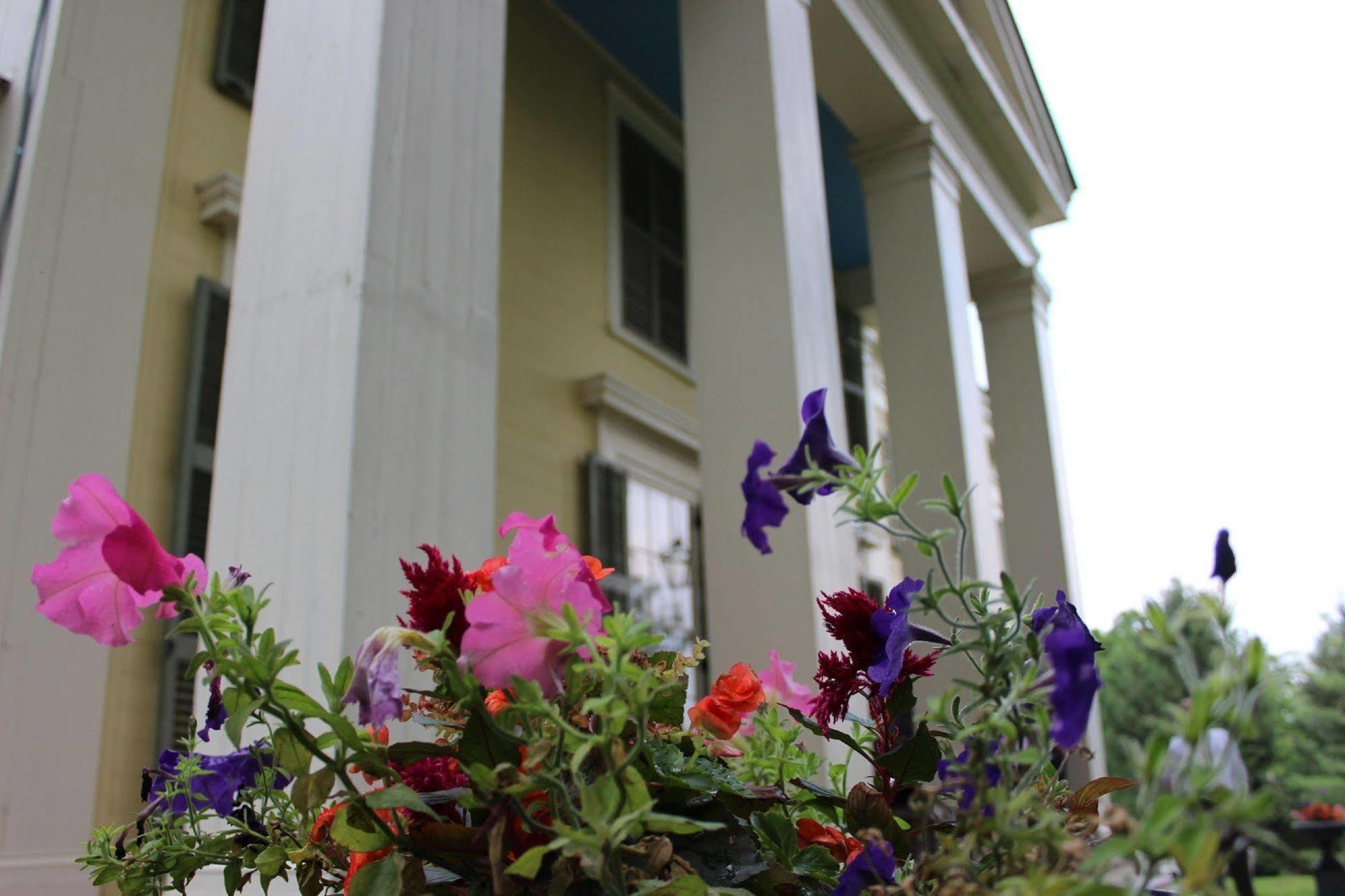 Halfmoon Oakcliff Bed And Breakfast المظهر الخارجي الصورة